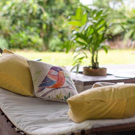 Popone Farm & Lodge Guápiles Εξωτερικό φωτογραφία